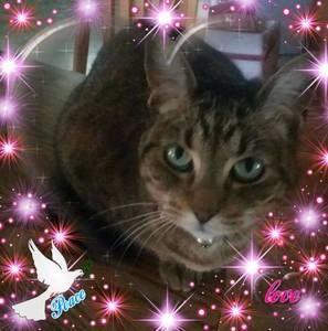 Meet your Posher, Beth